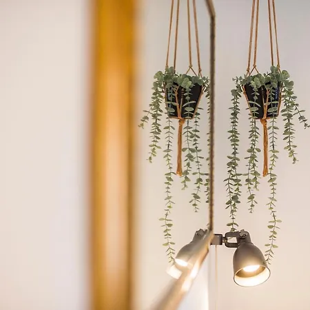 Leticia Apartment Split